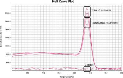 Live and inactivated Piscirickettsia salmonis activated nutritional immunity in Atlantic salmon (Salmo salar)